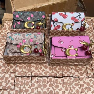 Stylish Coach Handbags
